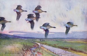 The Evening Flight